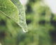 時雨和陽光